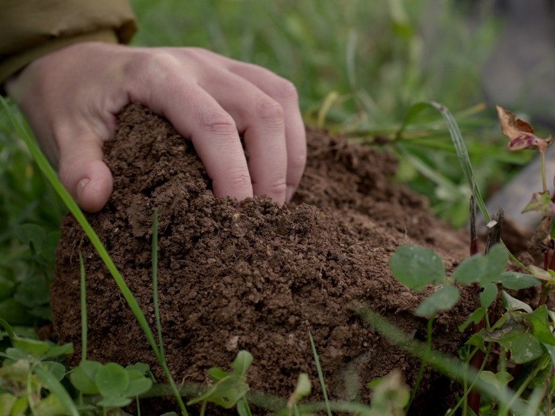 Our Soil