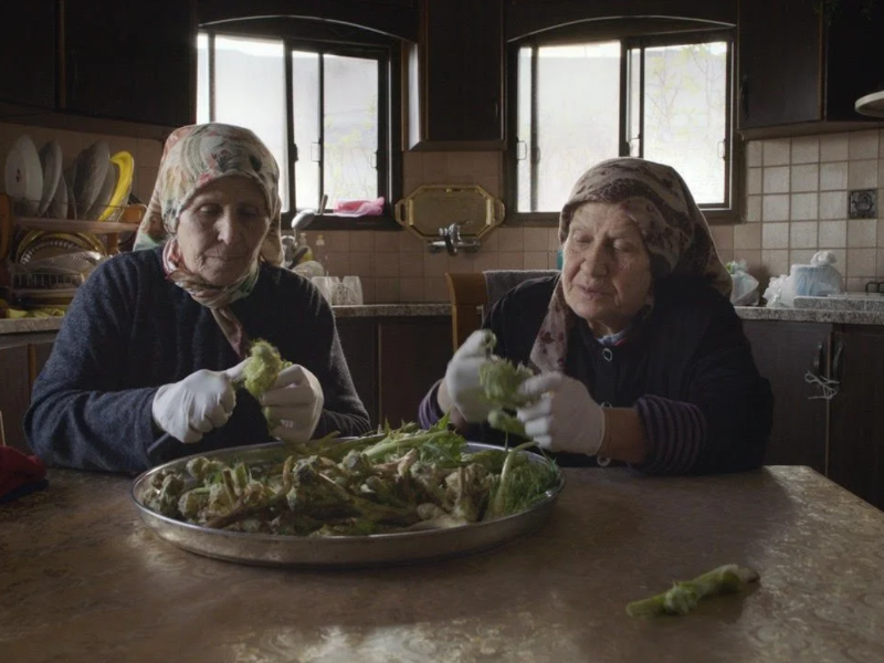 Foragers