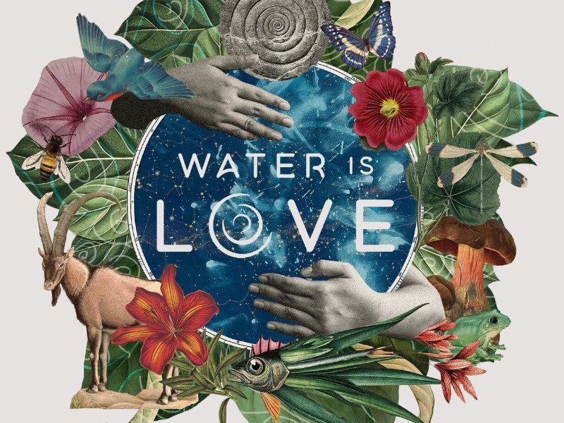 Water Is Love