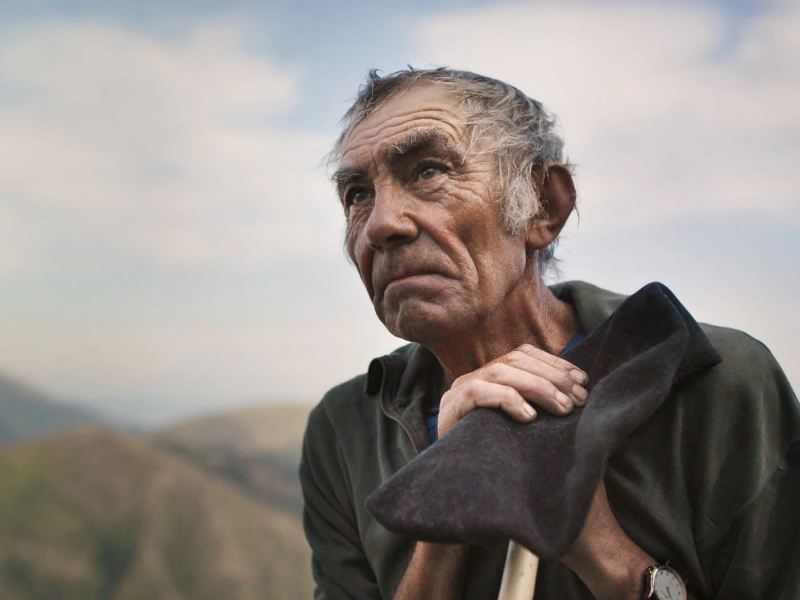 The Shepherd and the Bear