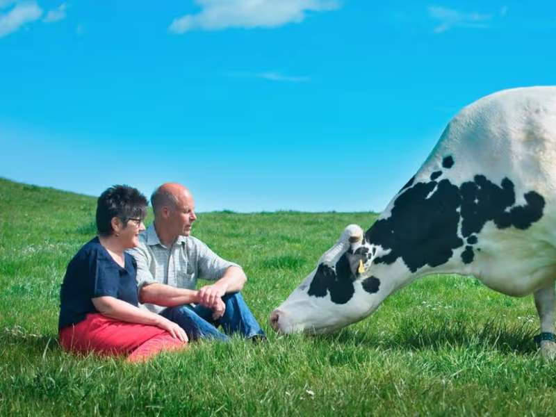 A Dairy Story