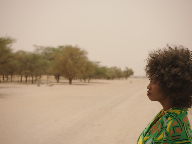 The Great Green Wall