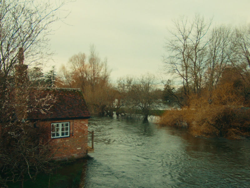 What Comes After the Flood