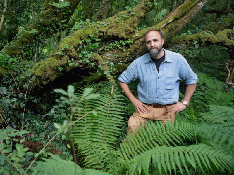 An Irish Atlantic Rainforest