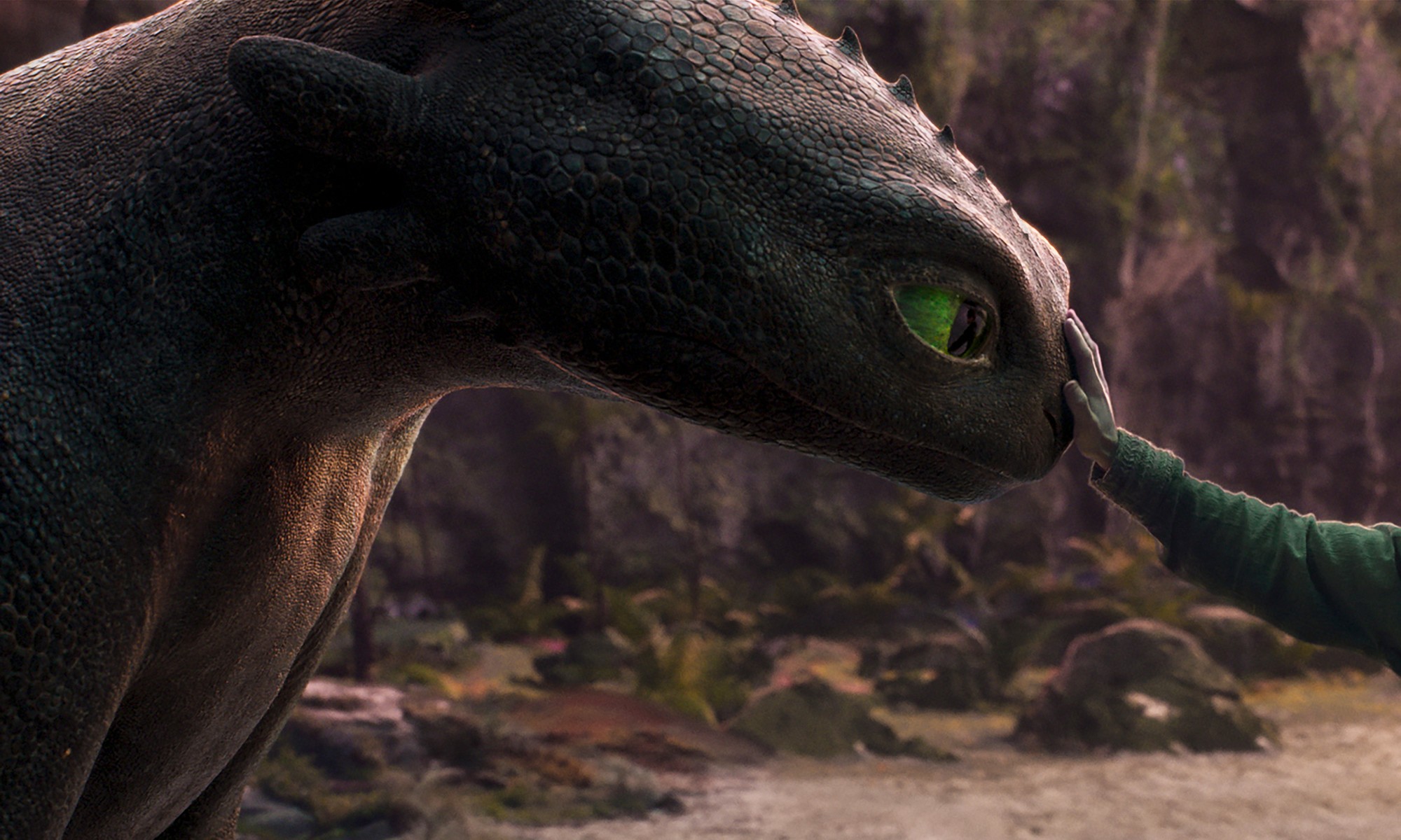 How To Train Your Dragon