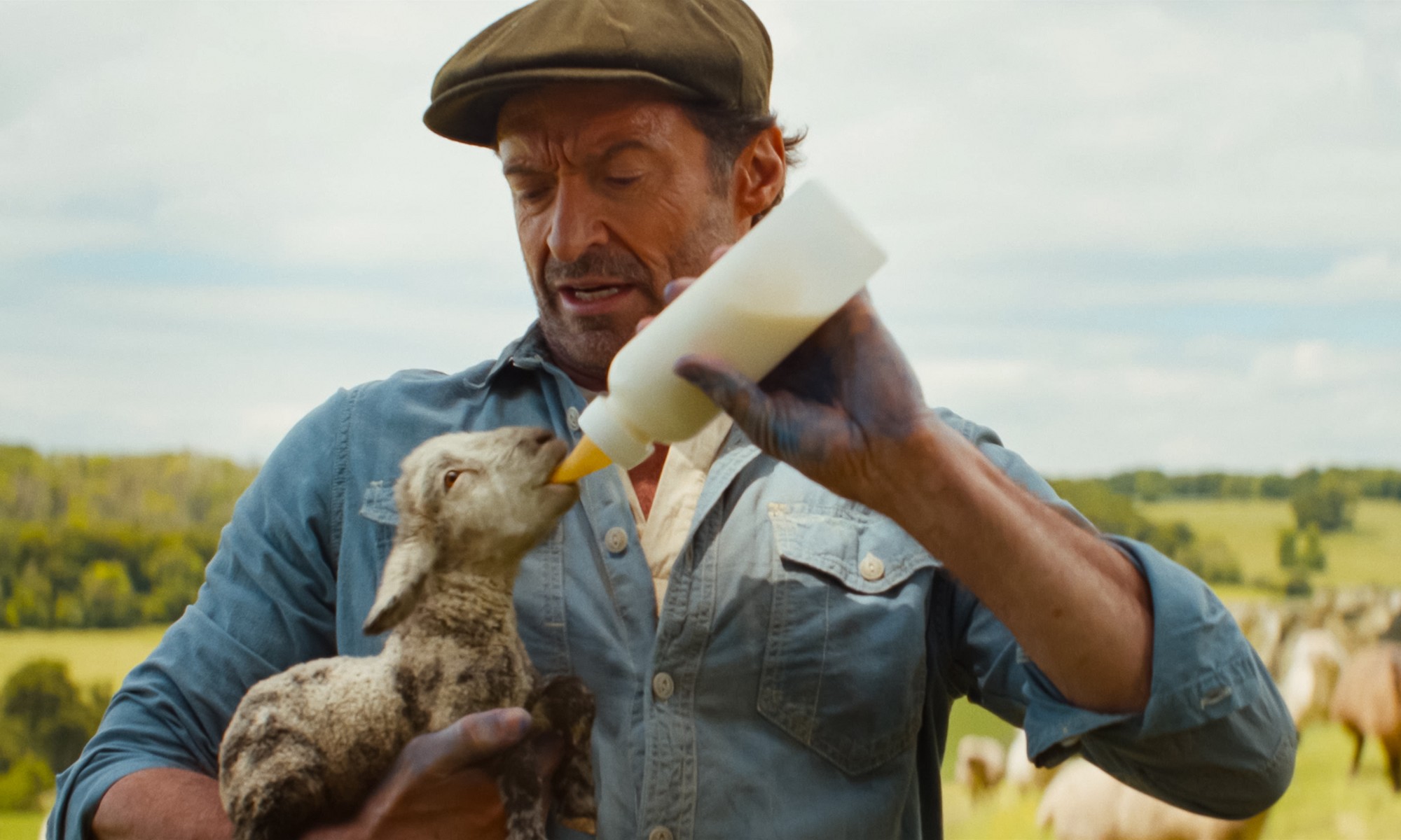 The Sheep Detectives