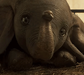 Dumbo 2D