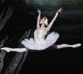 ROH Live: Swan Lake 2020