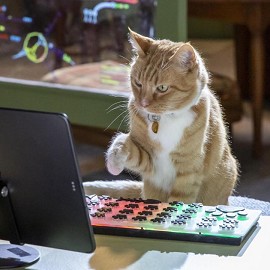 Cats & Dogs: Paws Unite