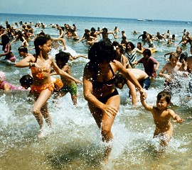 Jaws 50th Anniversary
