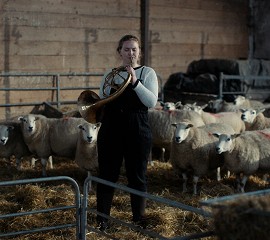 Notes from Sheepland