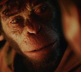 Better Man (Captioned)