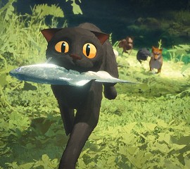 Family Matinée: Flow