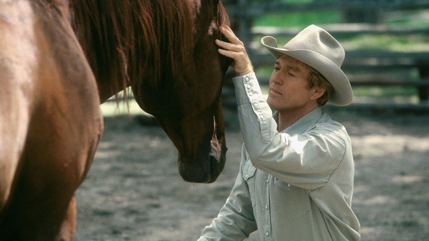 The Horse Whisperer