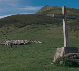 The Shepherd And The Bear