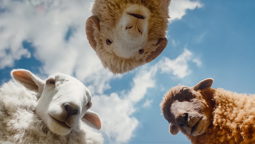 Met Encore 18/19: La Fanciulla del West