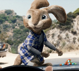 Hop