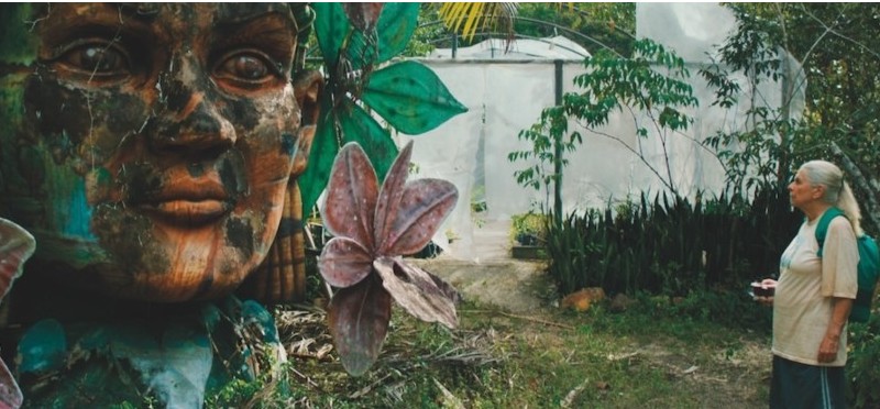 The Blue Trail image