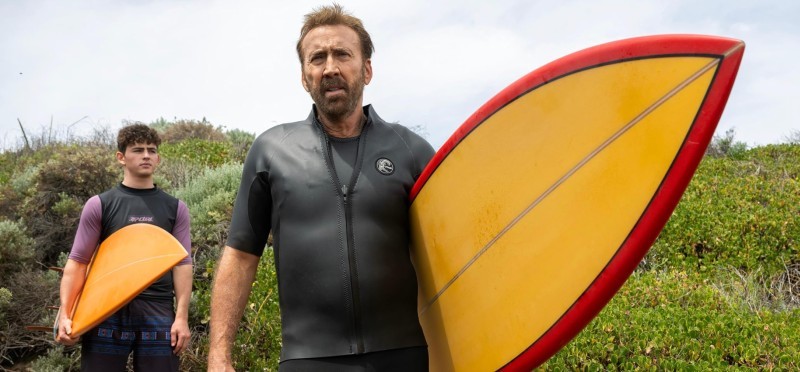 The Surfer image