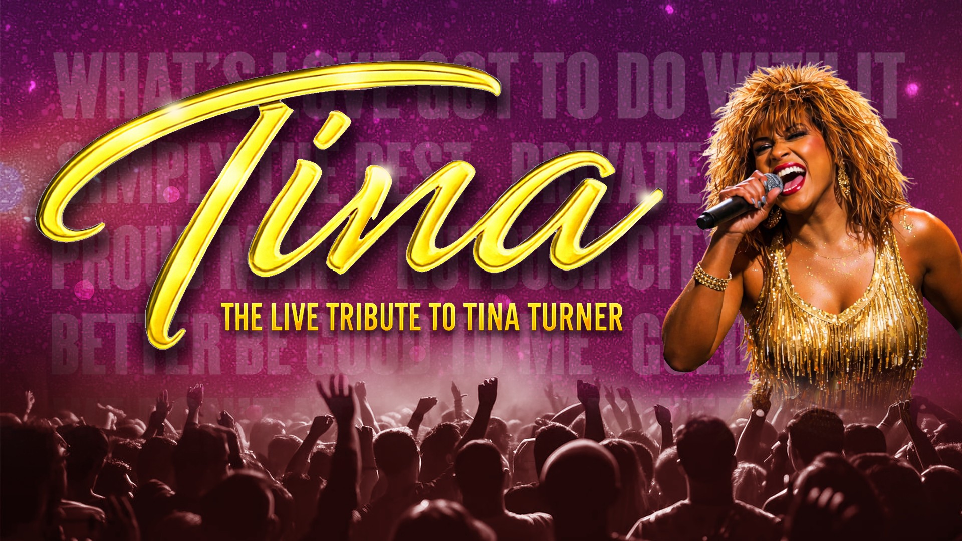 TINA - The Live Tribute Show