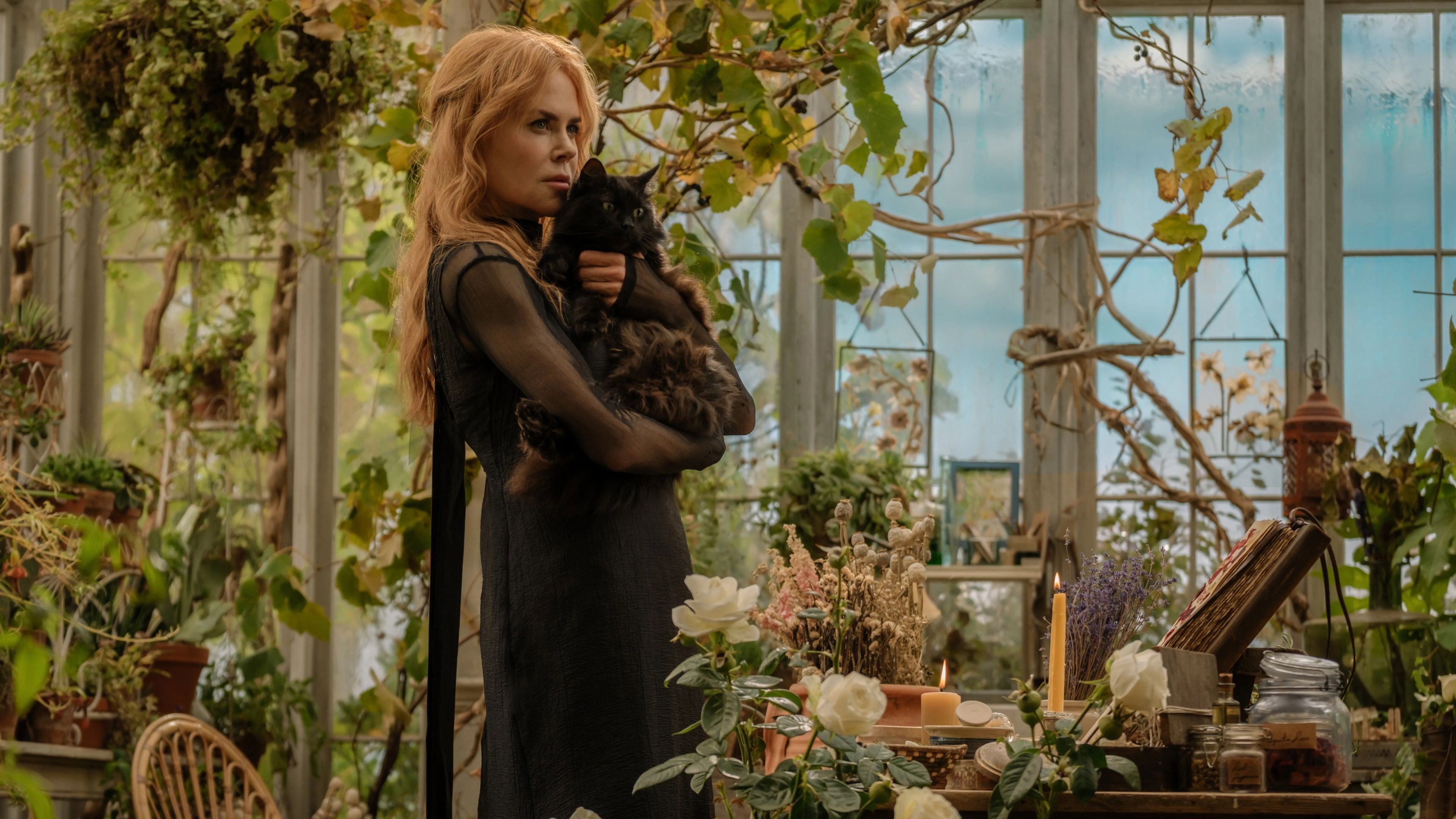 Practical Magic 2