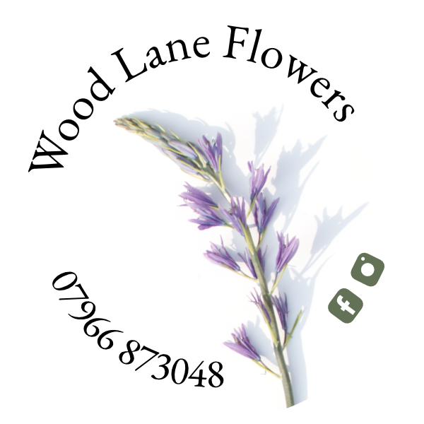 Petal Wreath Workshop