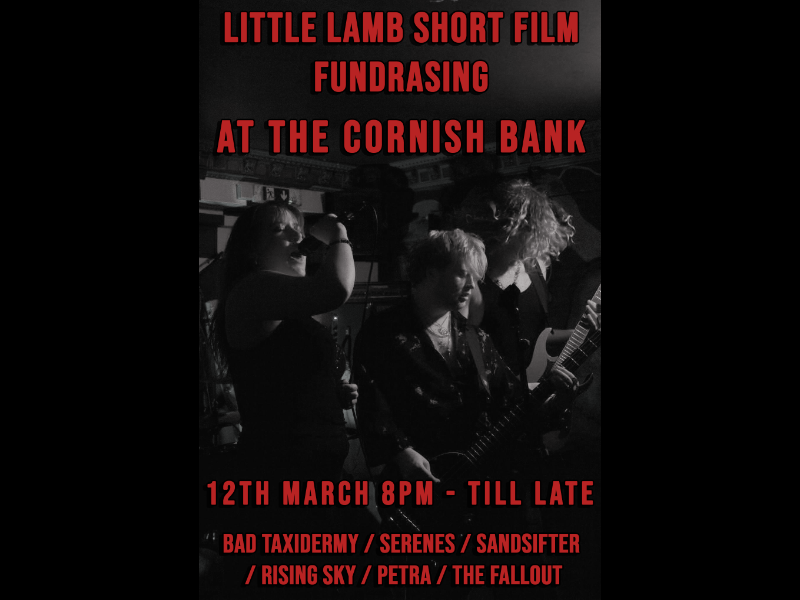 Little Lamb Film Fundraiser