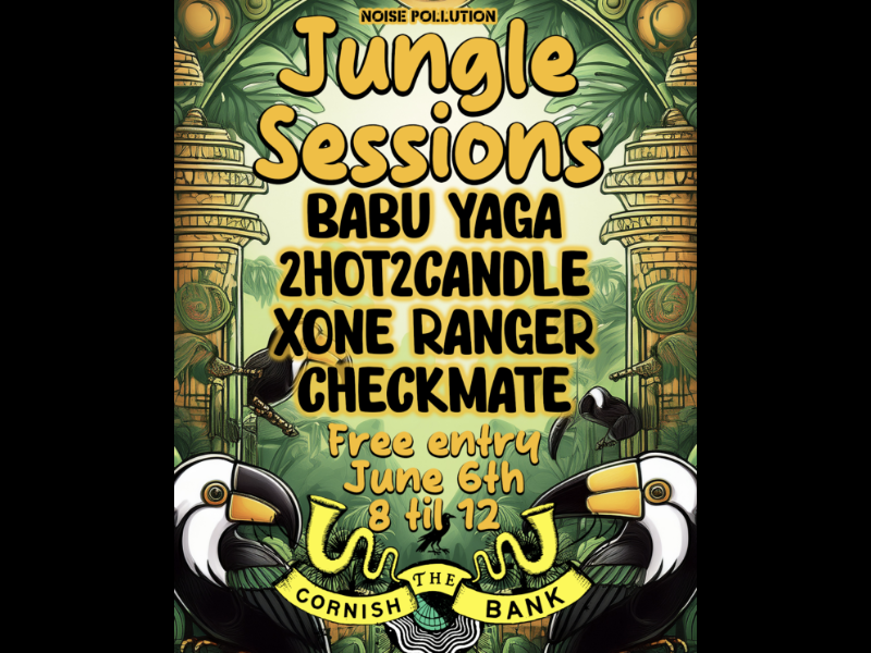 Noise Pollution Presents: Jungle Sessions