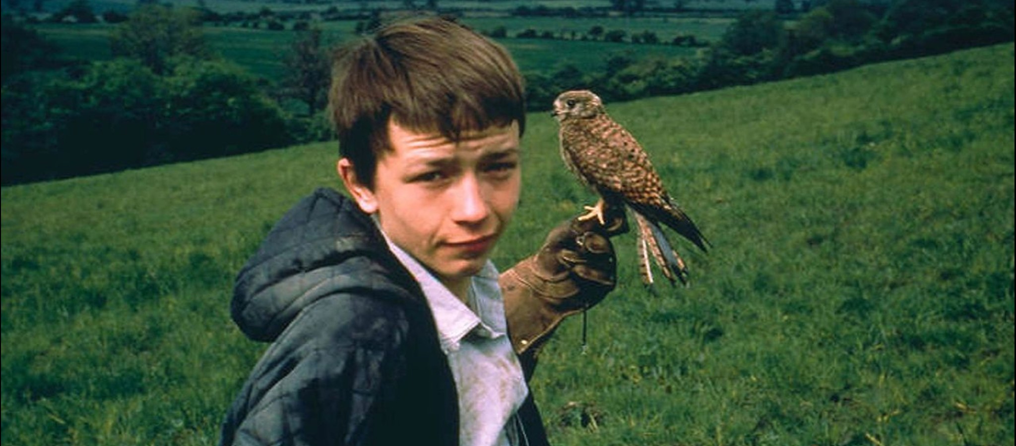 Counterfilms presents: Kes