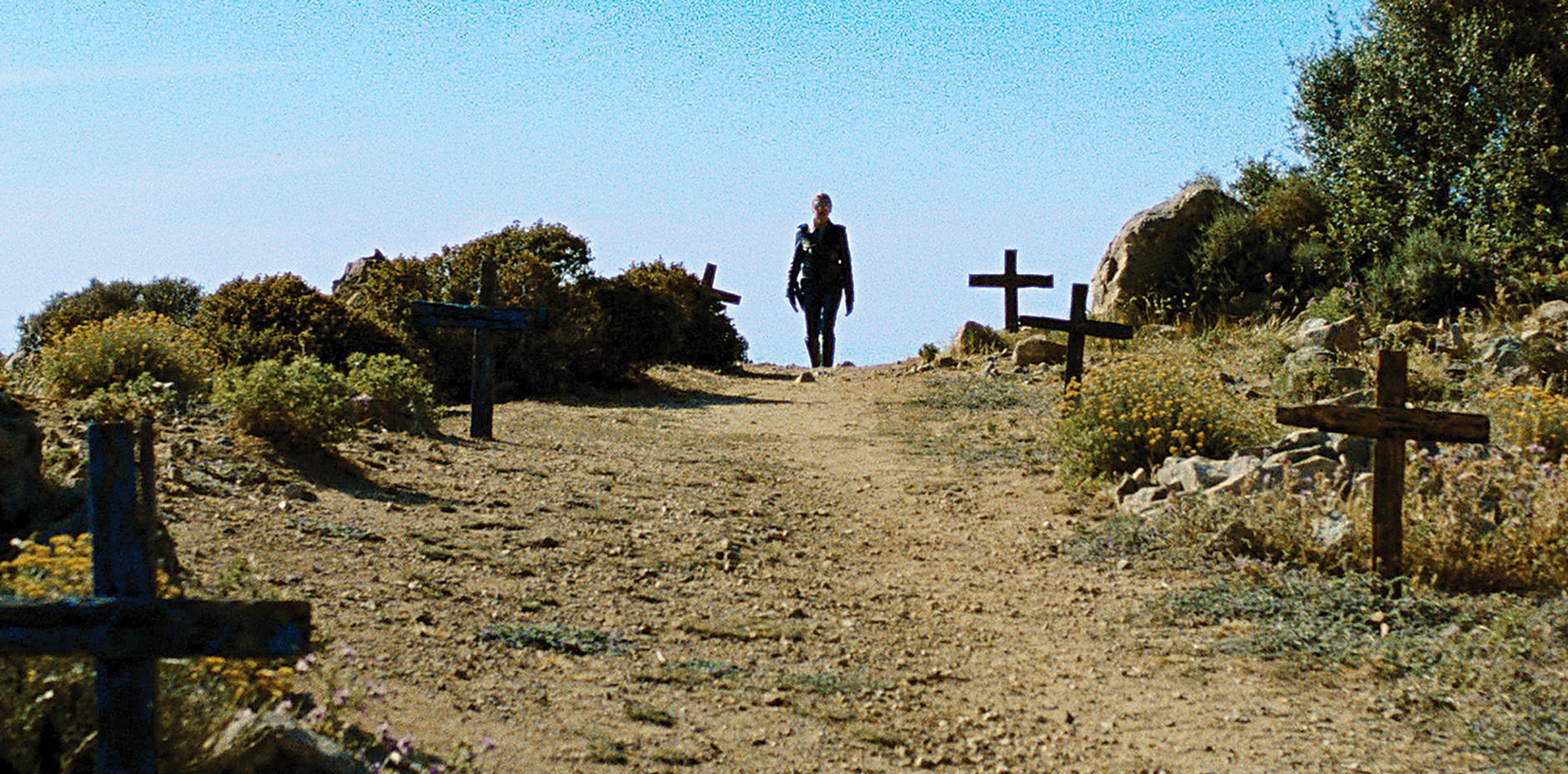 Let the Corpses Tan Q+A