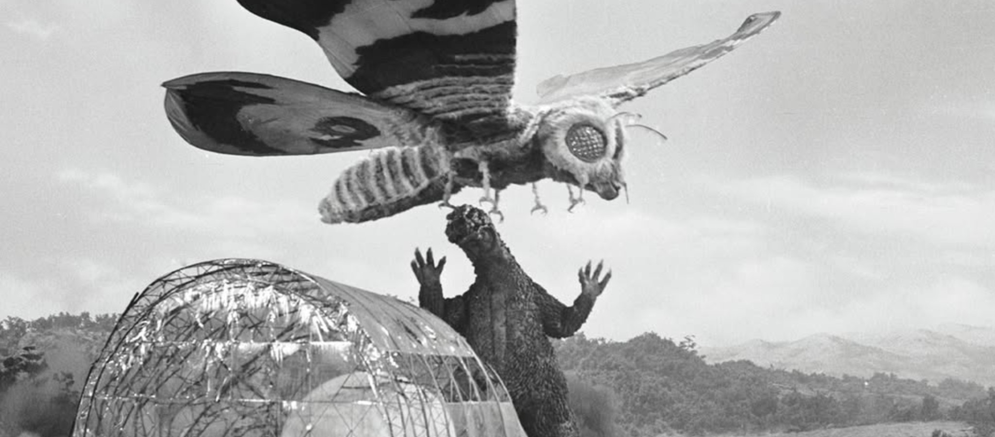 Godzilla All Dayer: Mothra vs. Godzilla