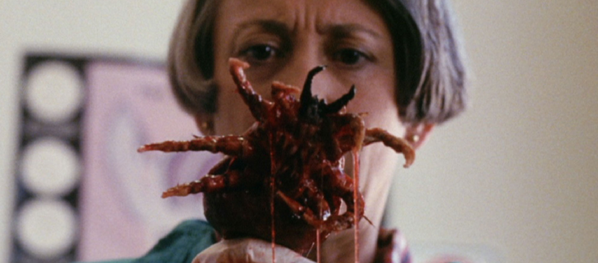 Interference Film Festival 2026: Ticks
