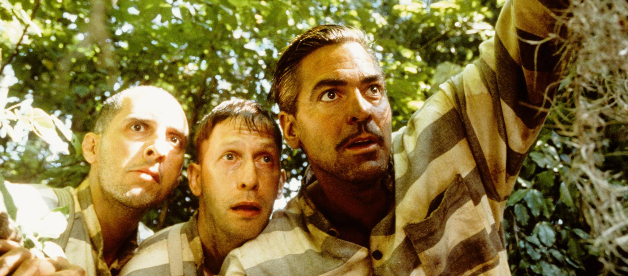 The Odd-yssey: O Brother, Where Art Thou?