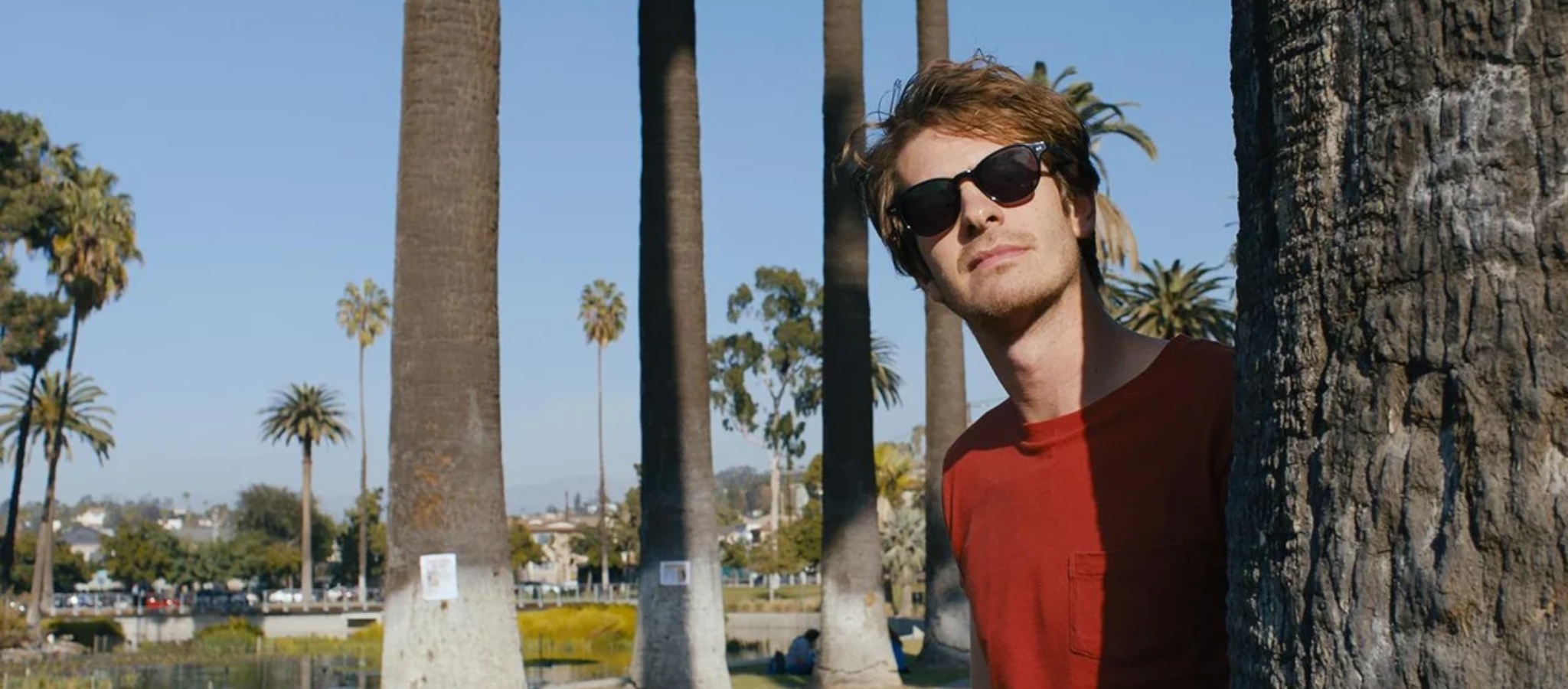 Under the Silver Lake