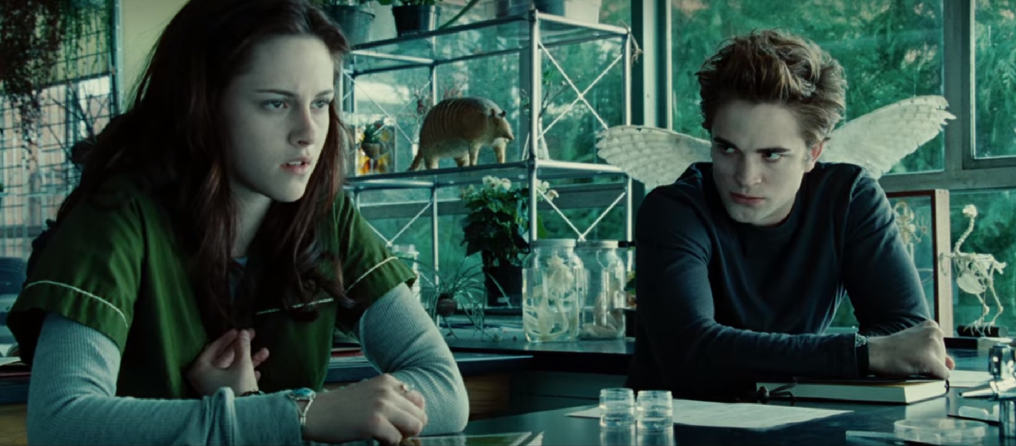 Twilight Saga Marathon