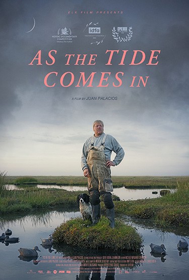 As The Tide Comes In 