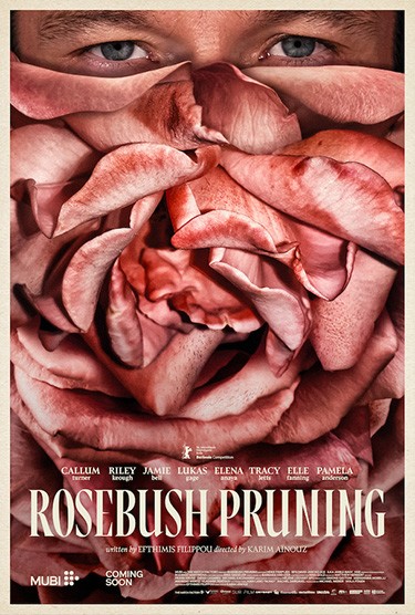 Rosebush Pruning