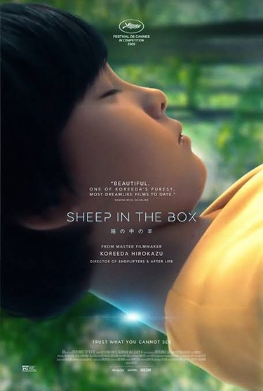 SHEEP IN THE BOX