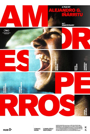 AMORES PERROS