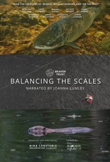 Balancing the Scales