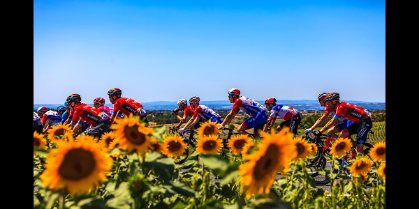 Matt Rendell's Inside Stories of the Tour de France