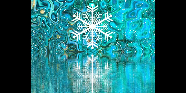 DYT Junior & Young 26