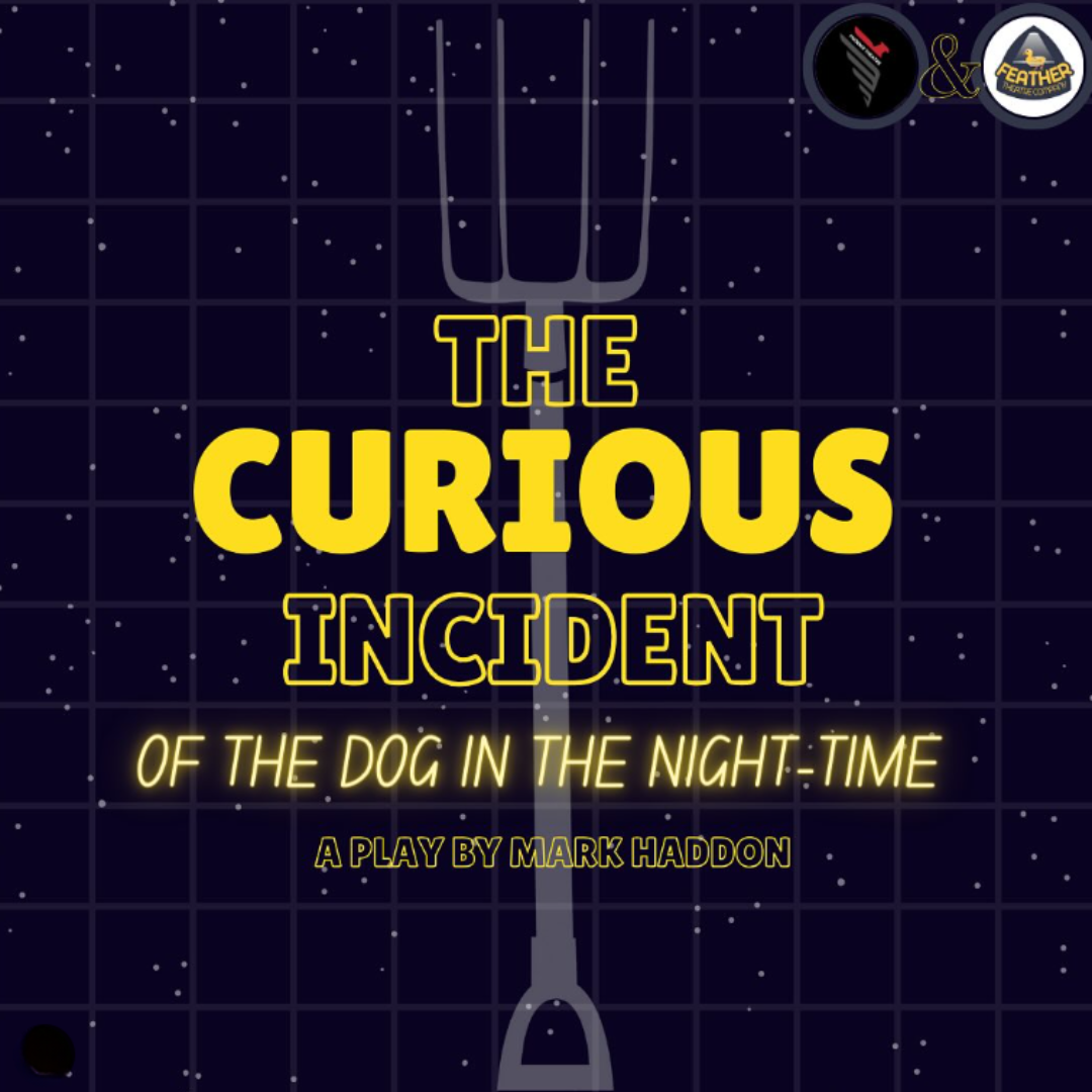 The Curious Incident of the Dog in the Night Time