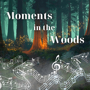 Moments in the Woods