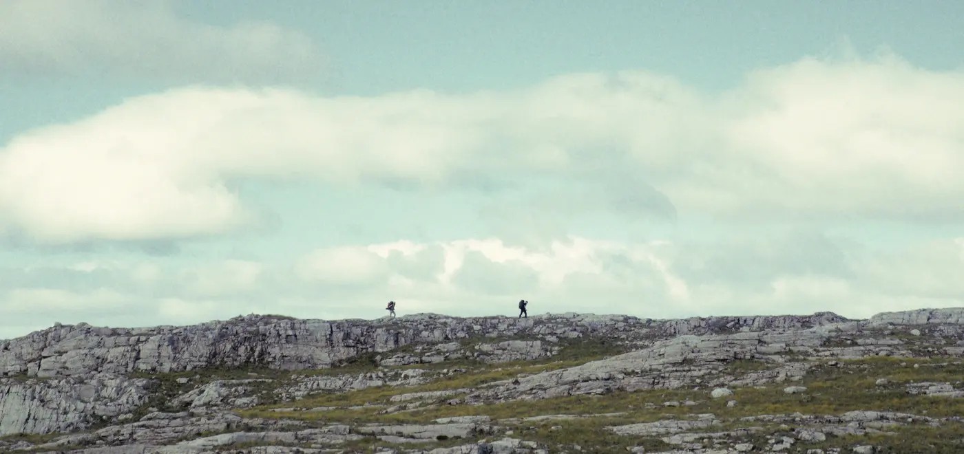 The North