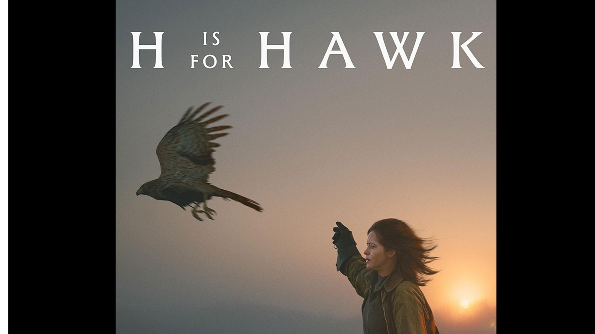 H Is for Hawk