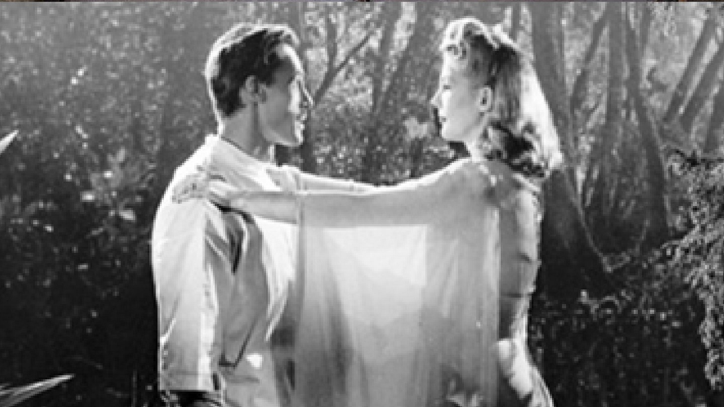 Revenge Of The Zombies