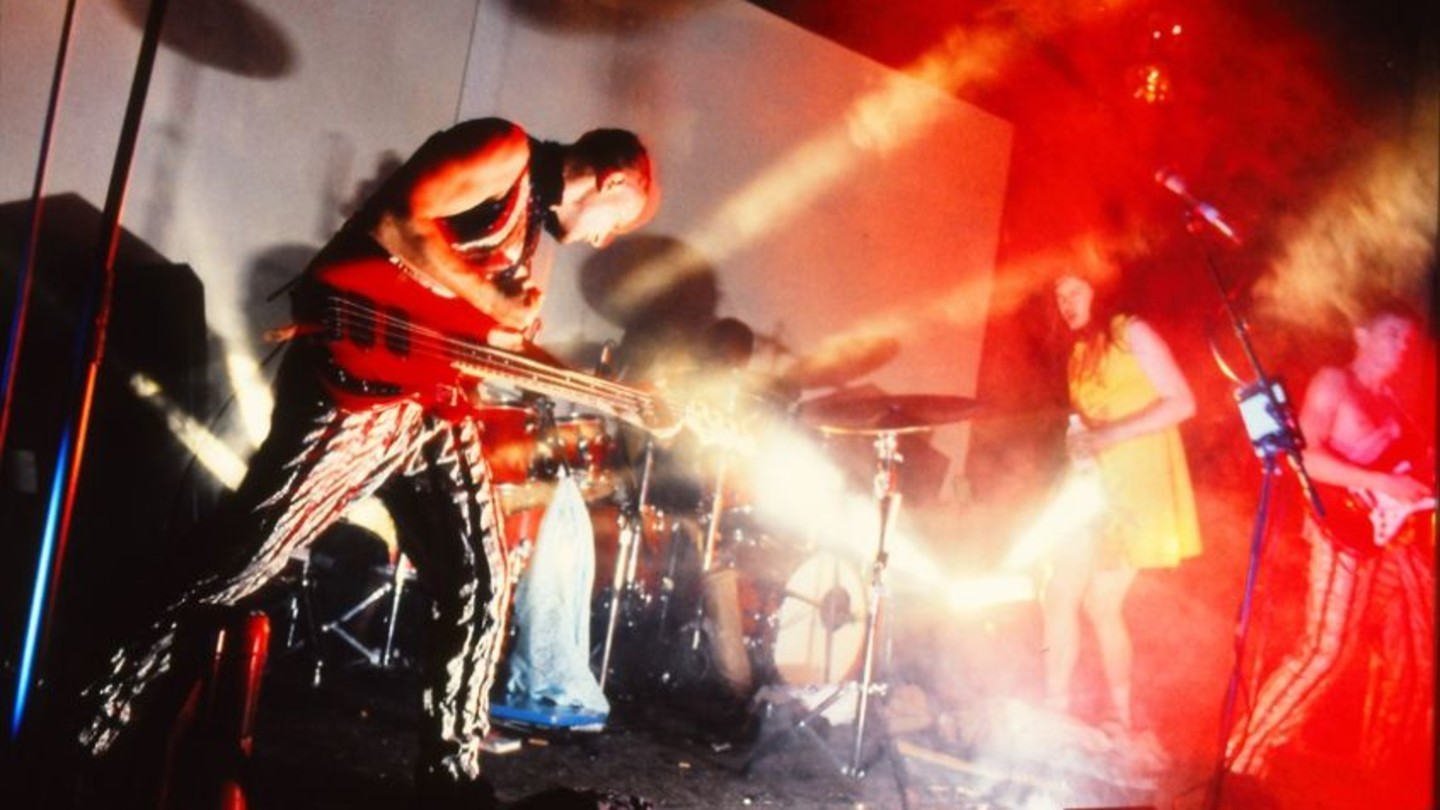 Butthole Surfers: The Hole Truth and Nothing Butt + Intro