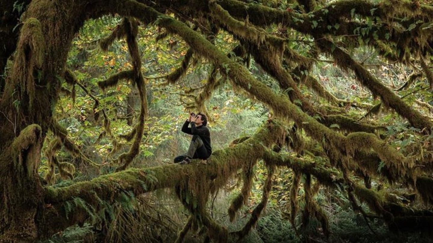 Whispers in the Woods + Intro