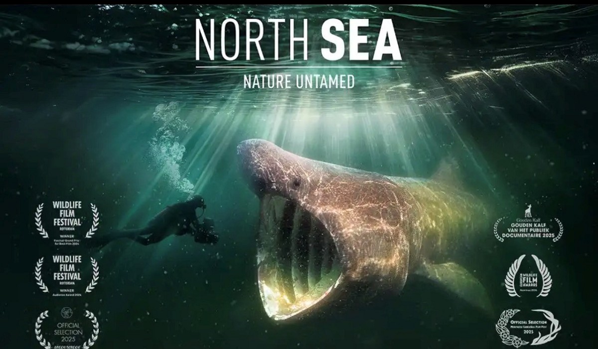North Sea – Nature Untamed